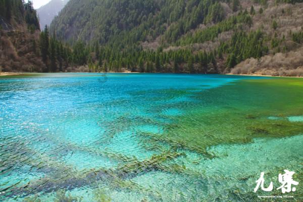 精灵的冒险之旅