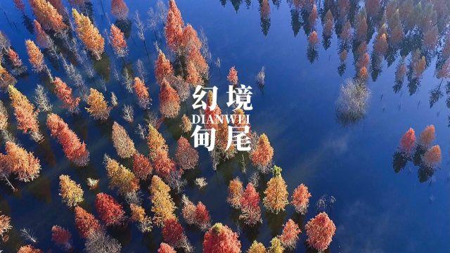 谈恋爱一年了，男朋友舜说我需要自由，我不想天天围绕着你转 不爱我了吗？