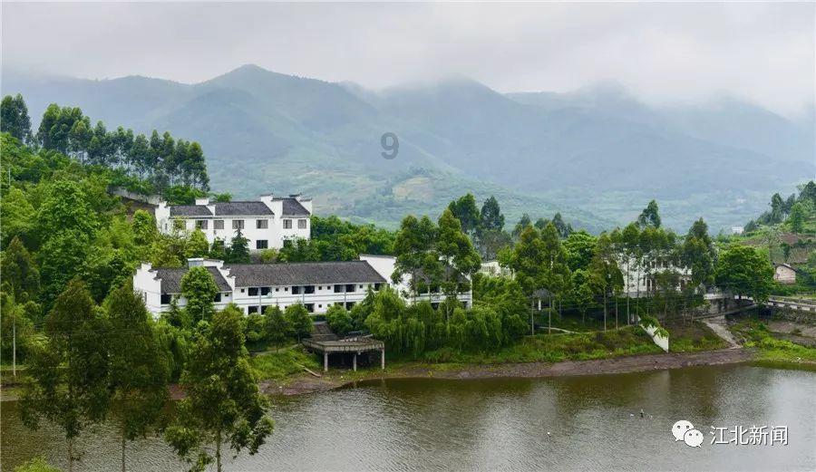 柴柴看到饼干兴奋张口半路杀出程咬金，碰一声空中对咬：夭寿喔！