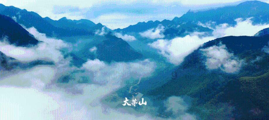 超数码宝贝4.0