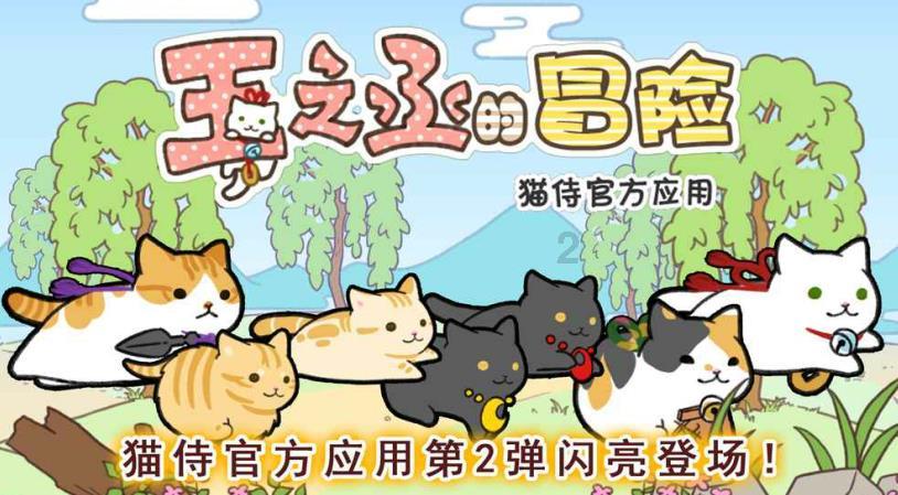 全新奥迪RS 5 Avant PHEV谍照曝光,采用插电式混动/或2025年发布