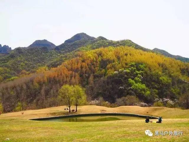 建功大安·十大最美人物 最美人民教师江国安:躬耕乡村不渝志 乐守初心育桃李