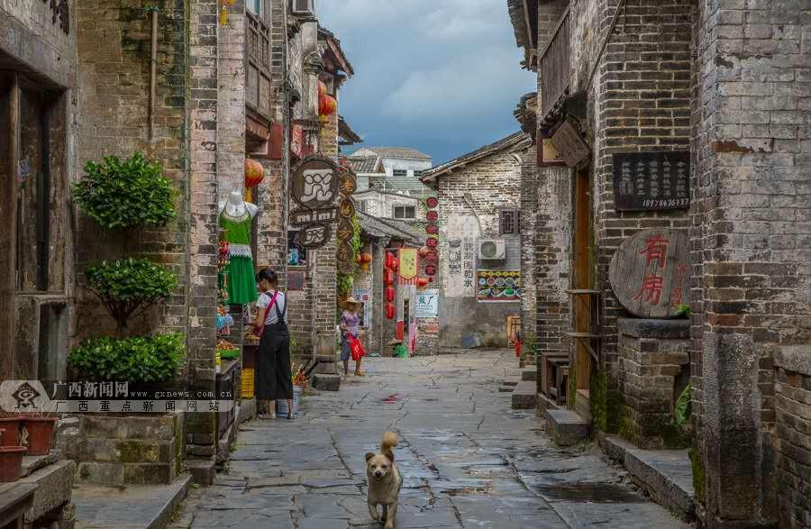 保险到底是不是智商税？游戏画面